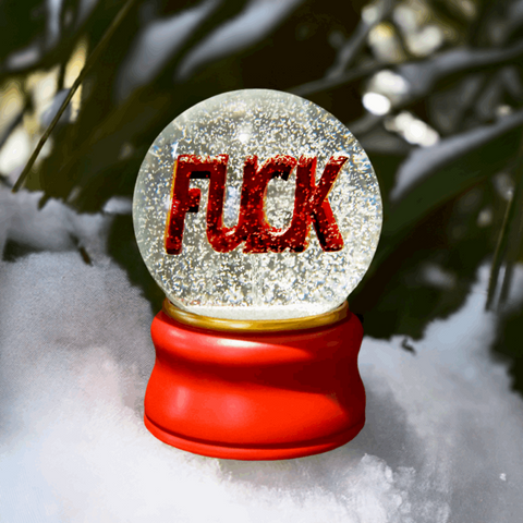Fuck snow globe